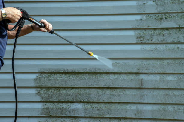 Best Residential Pressure Washing in Juarez, TX